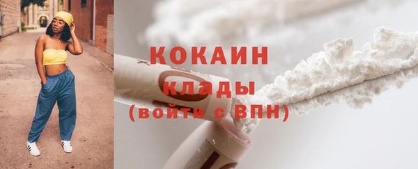 тгк Касимов