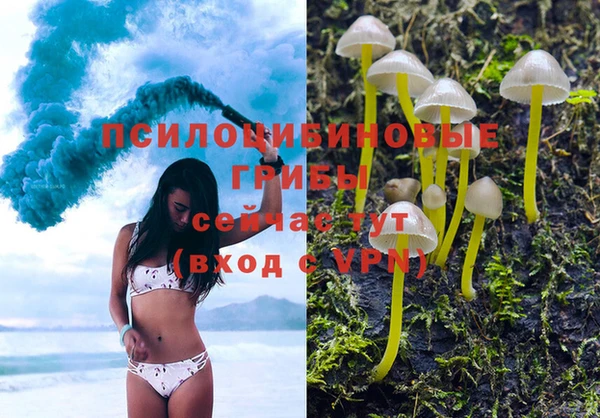 таблы Карпинск