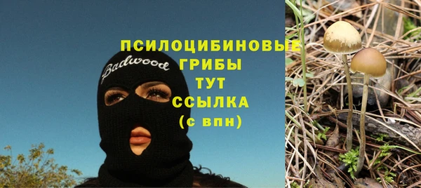 таблы Карпинск
