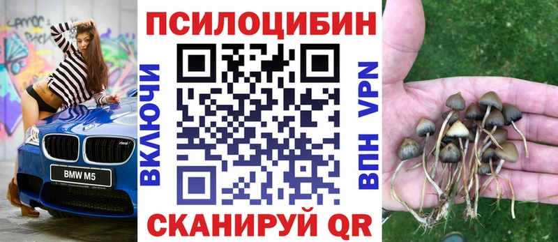 Галлюциногенные грибы мицелий  Купить  Дятьково 